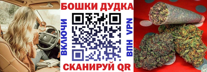 Где купить наркотики Луга APVP Cocaine OMG ТОР Каннабис ГАШ