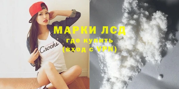 СК Вязьма
