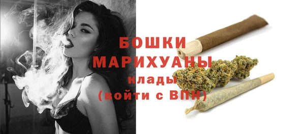 амф Вяземский