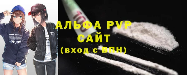 амф Вяземский
