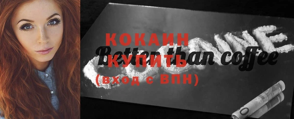 амф Вяземский