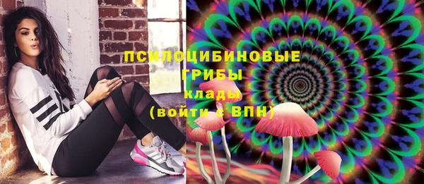 СК Вязьма