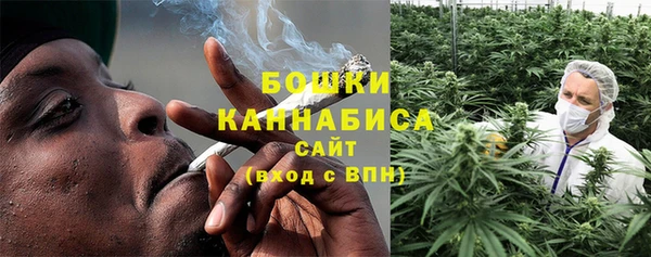 СК Вязьма