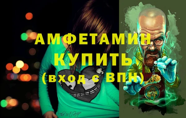 амф Вяземский