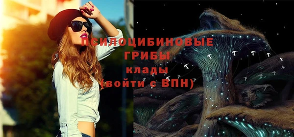 СК Вязьма